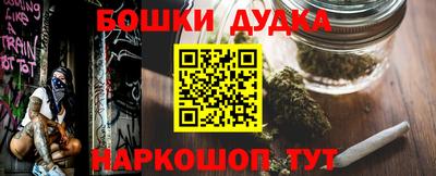 индика Кулебаки