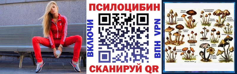 магазин продажи наркотиков  Красный Сулин  Галлюциногенные грибы Psilocybe 